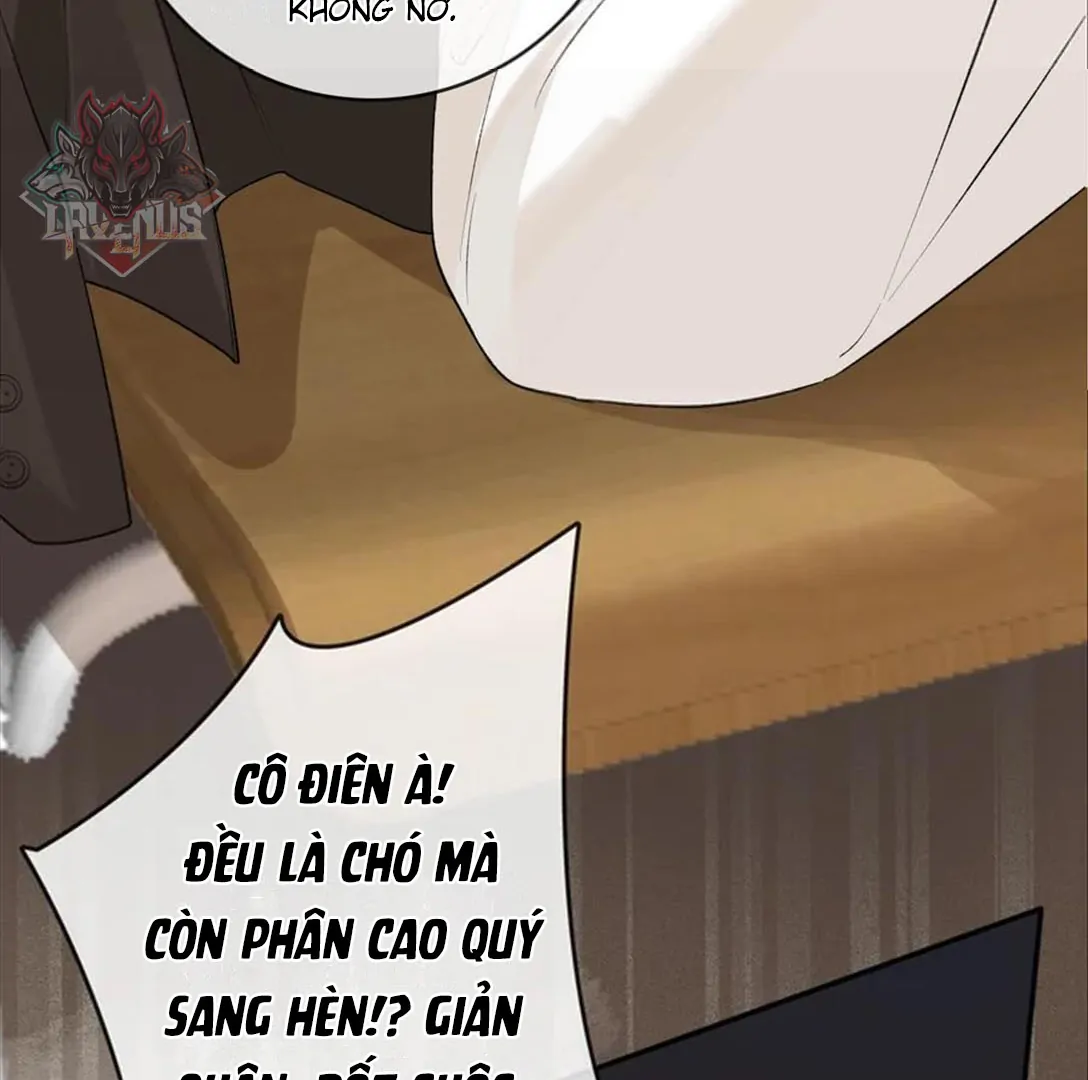 Sói Tiểu Thư Và Em Gái Hồ Ly Của Tôi Chapter 35 - Trang 2
