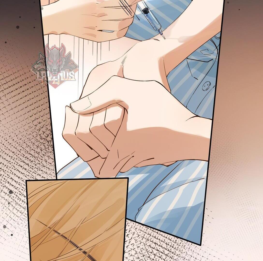 Sói Tiểu Thư Và Em Gái Hồ Ly Của Tôi Chapter 35 - Trang 2