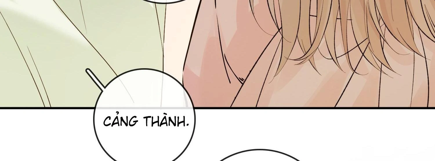 Sói Tiểu Thư Và Em Gái Hồ Ly Của Tôi Chapter 38 - Trang 2