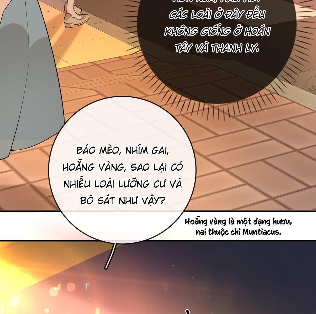 Sói Tiểu Thư Và Em Gái Hồ Ly Của Tôi Chapter 39 - Trang 2