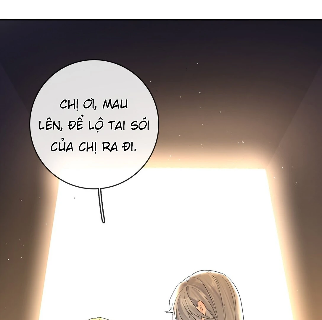 Sói Tiểu Thư Và Em Gái Hồ Ly Của Tôi Chapter 39 - Trang 2