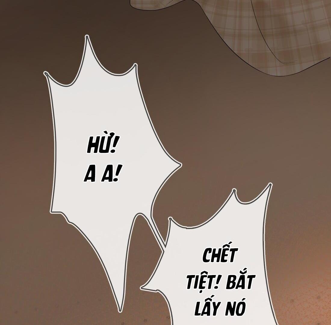 Sói Tiểu Thư Và Em Gái Hồ Ly Của Tôi Chapter 4 - Trang 2