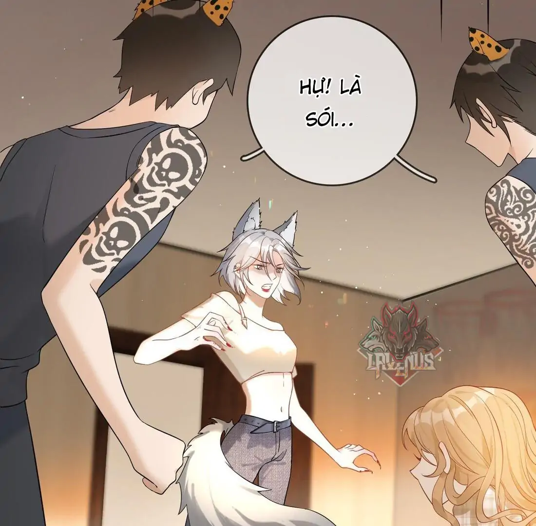Sói Tiểu Thư Và Em Gái Hồ Ly Của Tôi Chapter 4 - Trang 2