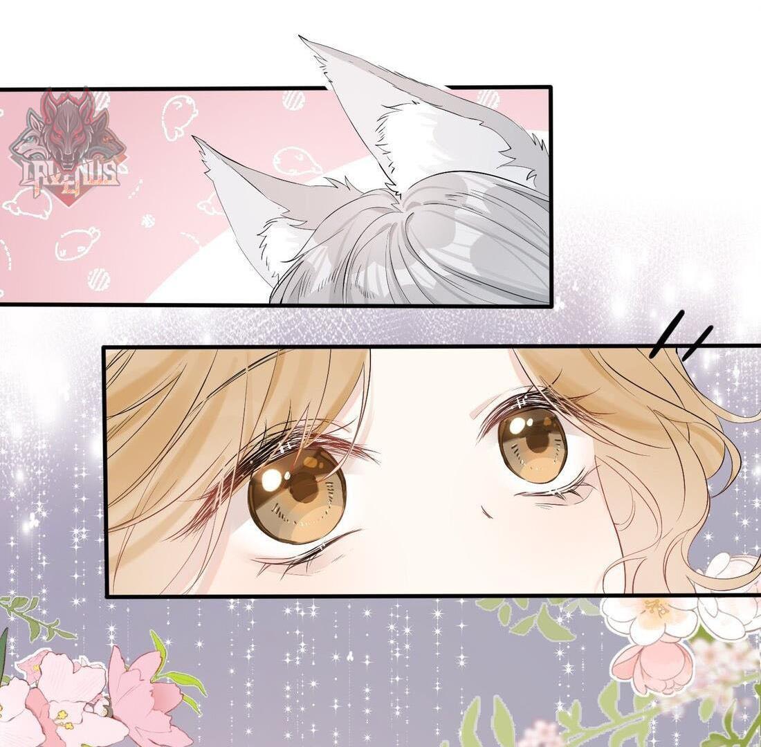 Sói Tiểu Thư Và Em Gái Hồ Ly Của Tôi Chapter 4 - Trang 2