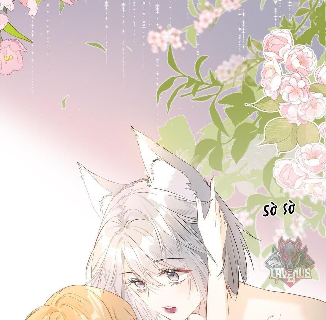 Sói Tiểu Thư Và Em Gái Hồ Ly Của Tôi Chapter 4 - Trang 2