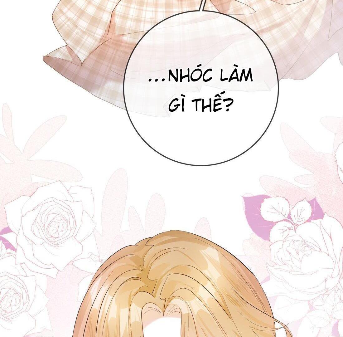 Sói Tiểu Thư Và Em Gái Hồ Ly Của Tôi Chapter 4 - Trang 2