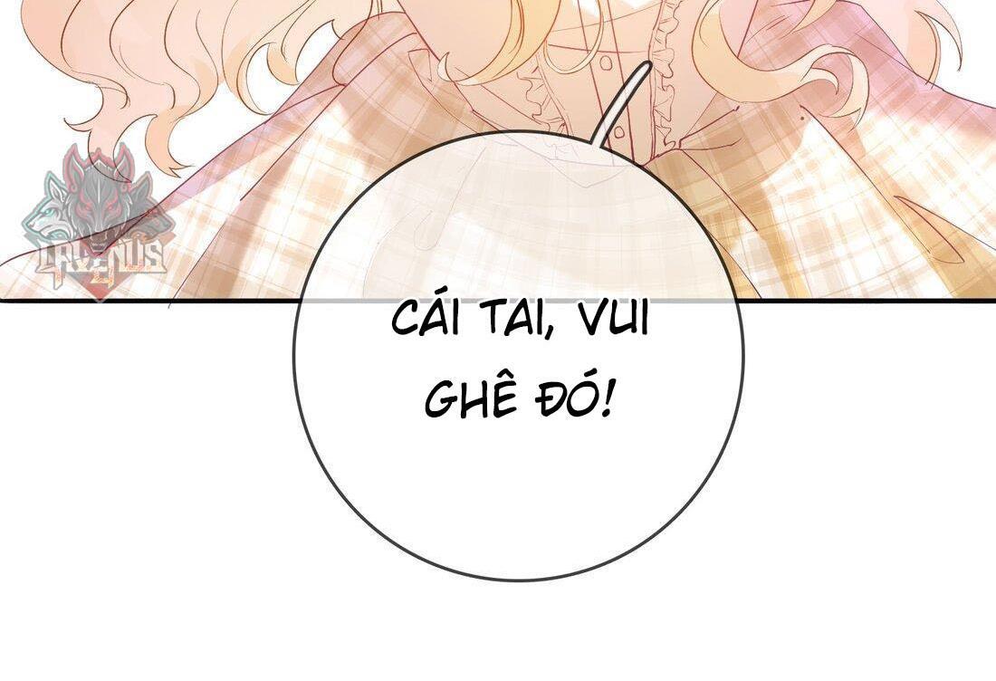 Sói Tiểu Thư Và Em Gái Hồ Ly Của Tôi Chapter 4 - Trang 2