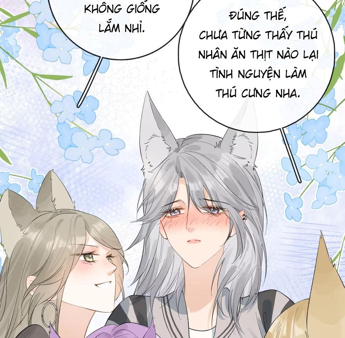 Sói Tiểu Thư Và Em Gái Hồ Ly Của Tôi Chapter 41 - Trang 2