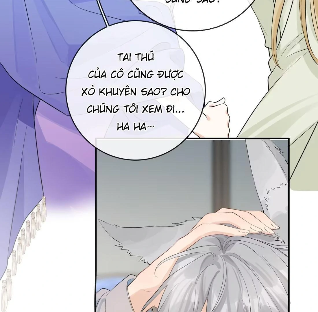 Sói Tiểu Thư Và Em Gái Hồ Ly Của Tôi Chapter 41 - Trang 2