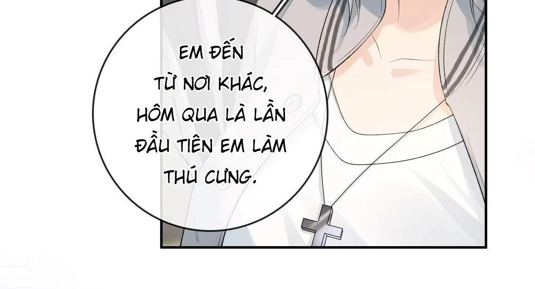 Sói Tiểu Thư Và Em Gái Hồ Ly Của Tôi Chapter 41 - Trang 2