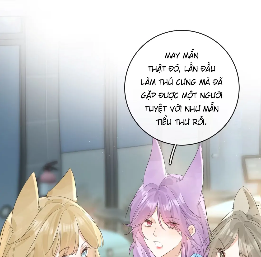 Sói Tiểu Thư Và Em Gái Hồ Ly Của Tôi Chapter 41 - Trang 2