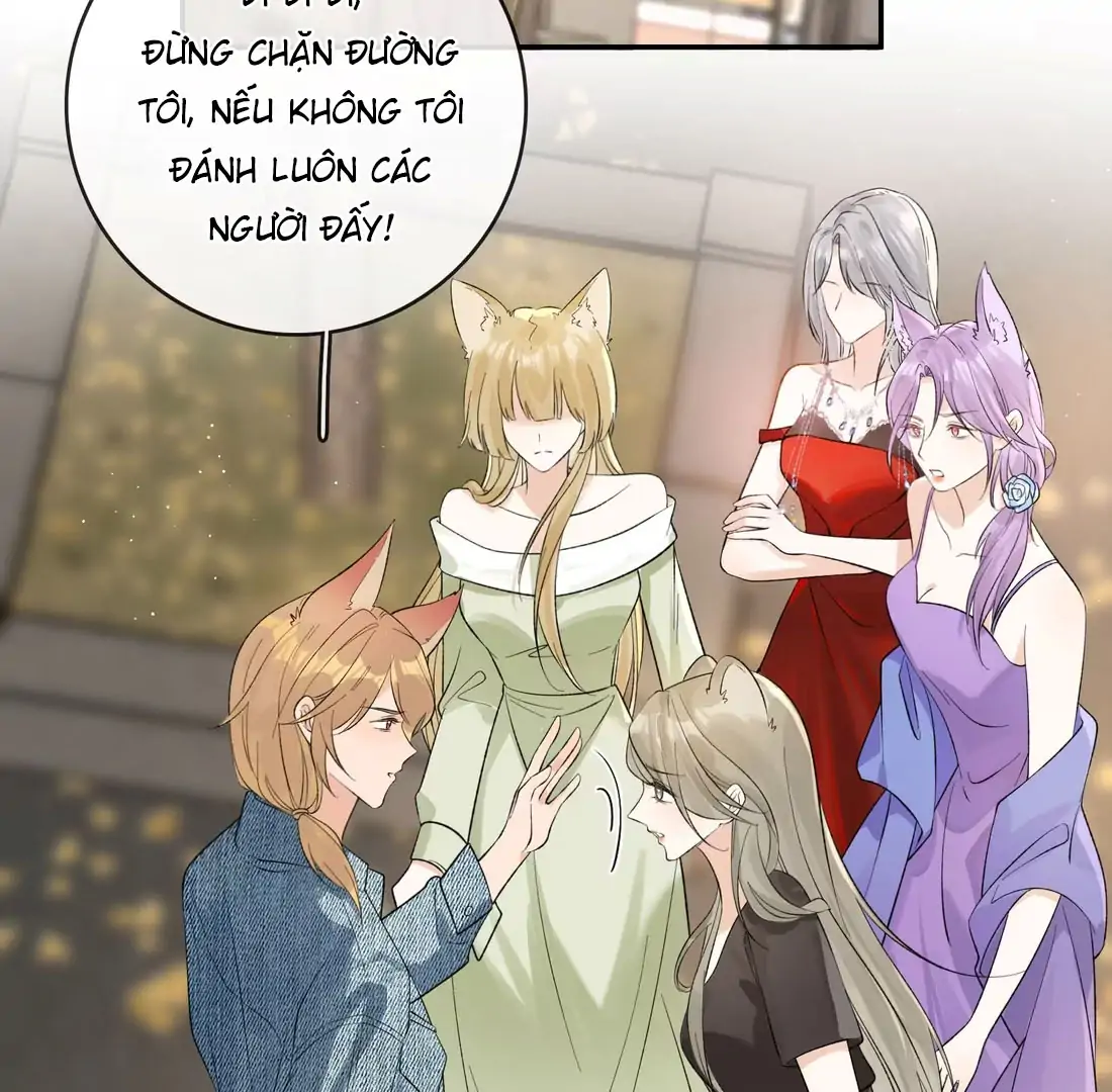 Sói Tiểu Thư Và Em Gái Hồ Ly Của Tôi Chapter 41 - Trang 2