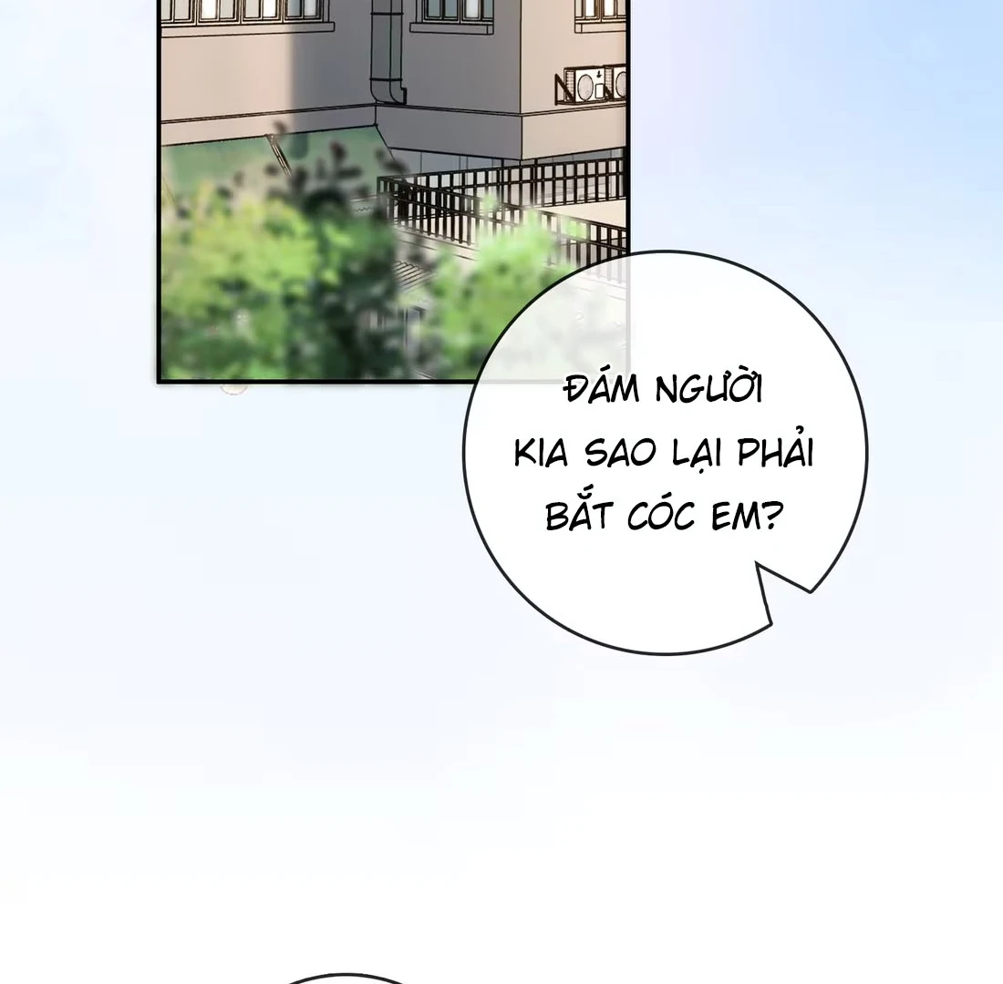 Sói Tiểu Thư Và Em Gái Hồ Ly Của Tôi Chapter 42 - Trang 2