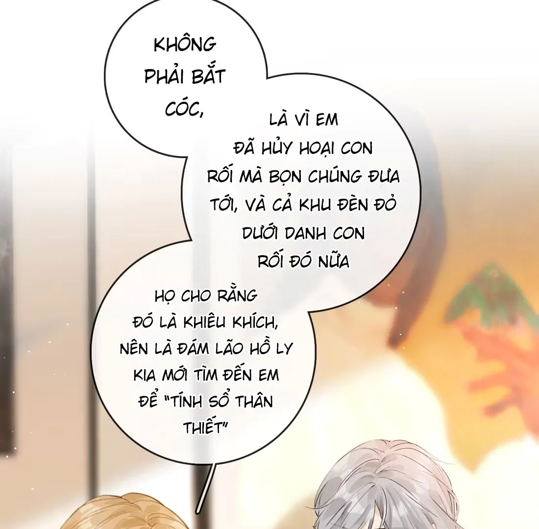 Sói Tiểu Thư Và Em Gái Hồ Ly Của Tôi Chapter 42 - Trang 2
