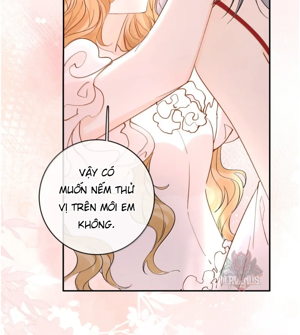 Sói Tiểu Thư Và Em Gái Hồ Ly Của Tôi Chapter 43 - Trang 2