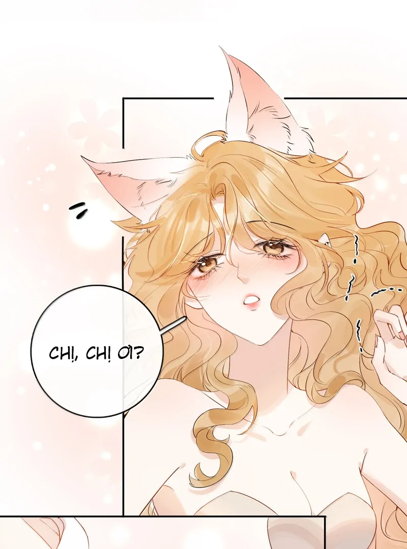 Sói Tiểu Thư Và Em Gái Hồ Ly Của Tôi Chapter 46 - Trang 2