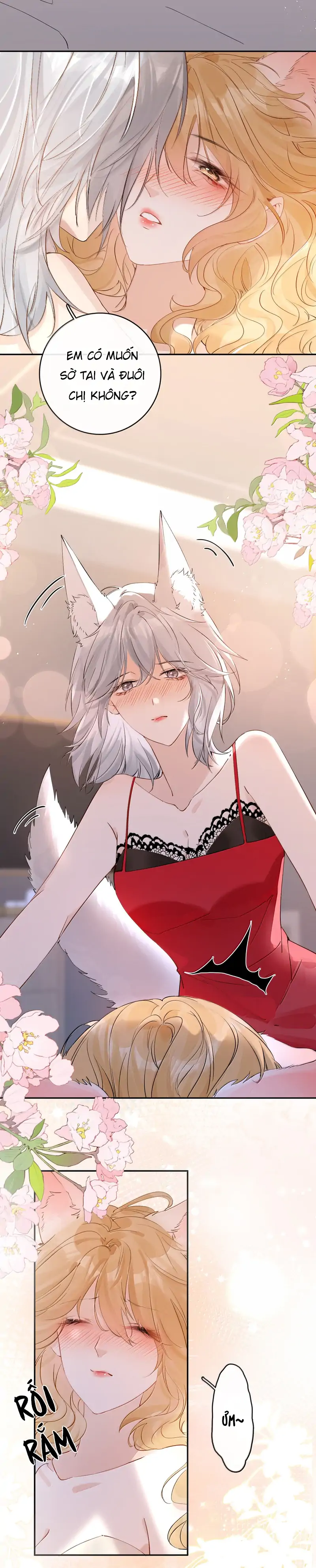 Sói Tiểu Thư Và Em Gái Hồ Ly Của Tôi Chapter 46 - Trang 2