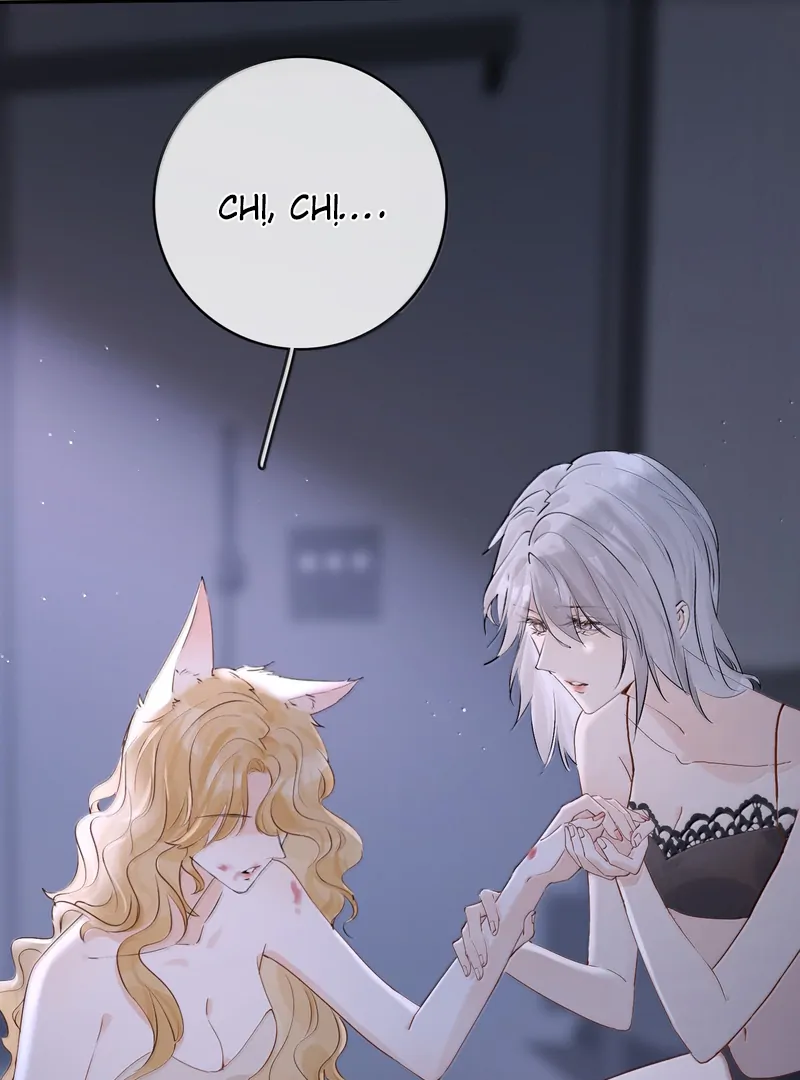Sói Tiểu Thư Và Em Gái Hồ Ly Của Tôi Chapter 46 - Trang 2