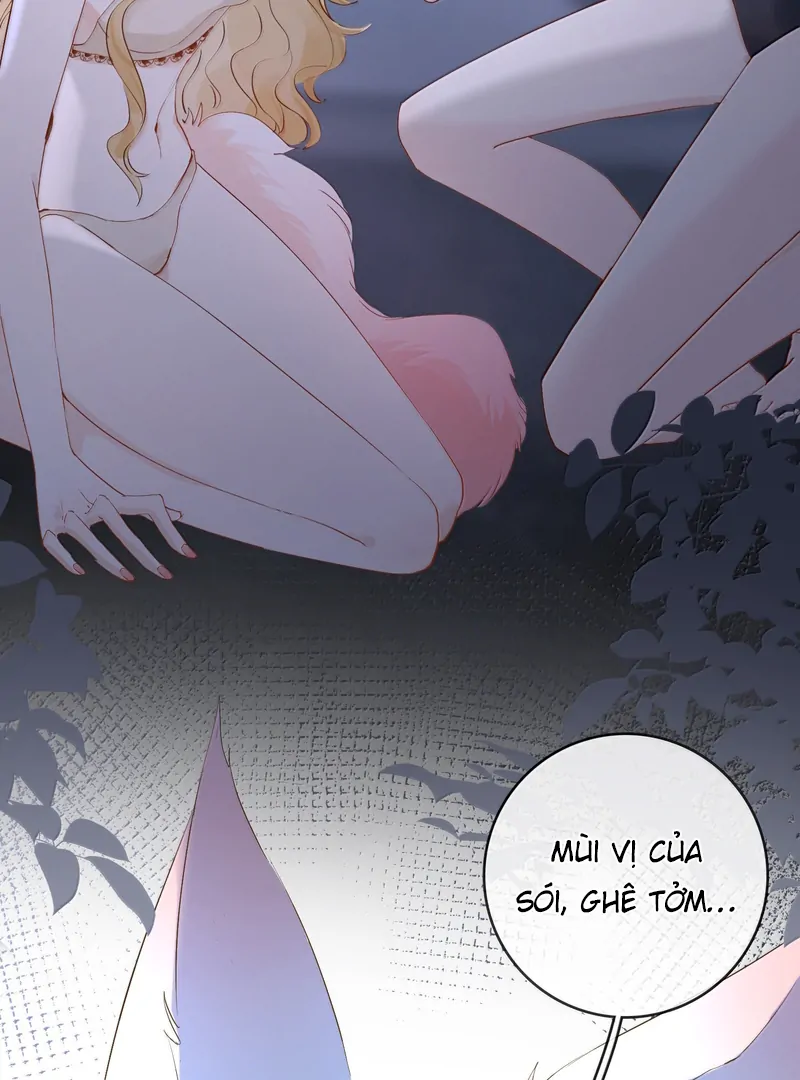 Sói Tiểu Thư Và Em Gái Hồ Ly Của Tôi Chapter 46 - Trang 2