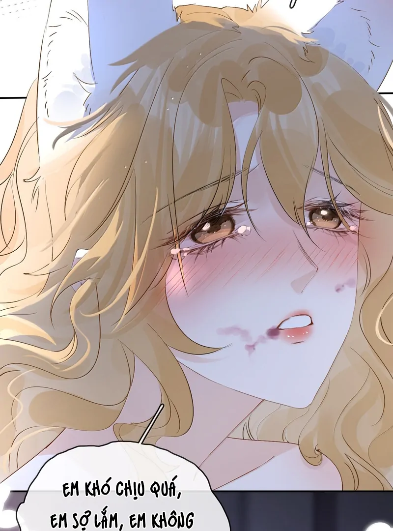 Sói Tiểu Thư Và Em Gái Hồ Ly Của Tôi Chapter 46 - Trang 2