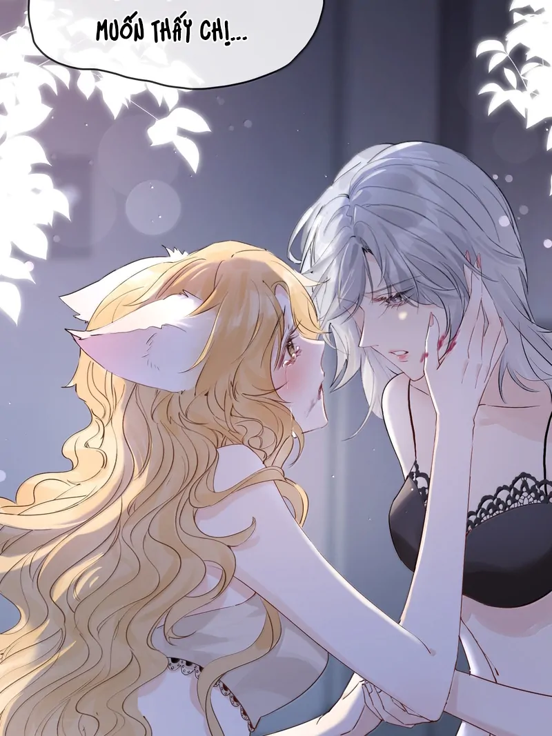 Sói Tiểu Thư Và Em Gái Hồ Ly Của Tôi Chapter 46 - Trang 2