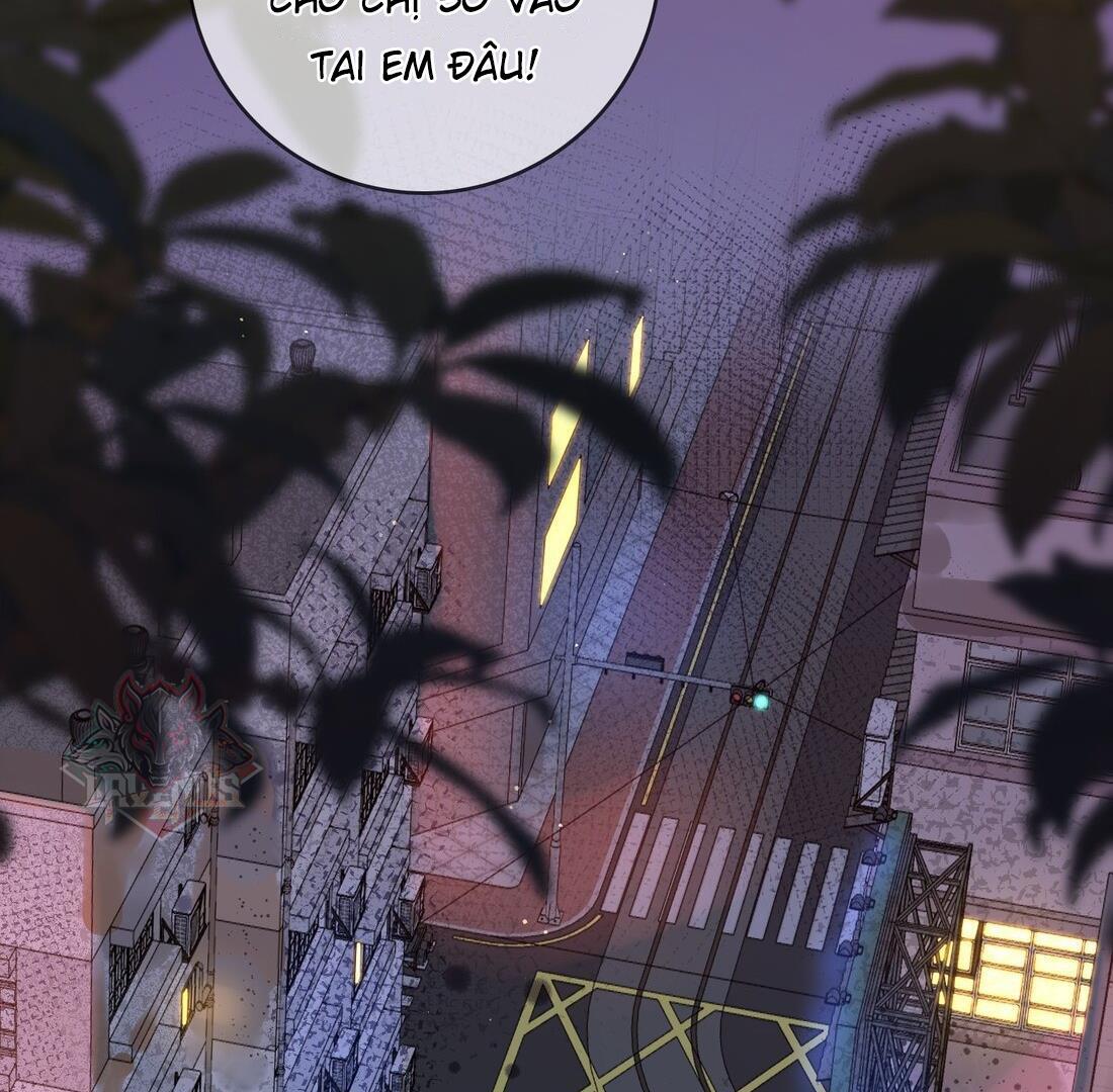 Sói Tiểu Thư Và Em Gái Hồ Ly Của Tôi Chapter 5 - Trang 2