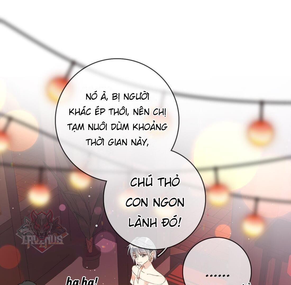 Sói Tiểu Thư Và Em Gái Hồ Ly Của Tôi Chapter 5 - Trang 2