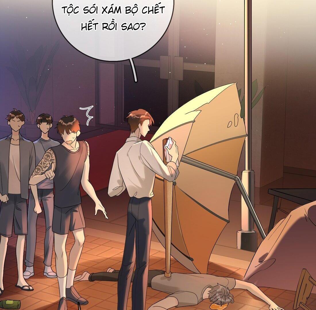 Sói Tiểu Thư Và Em Gái Hồ Ly Của Tôi Chapter 5 - Trang 2