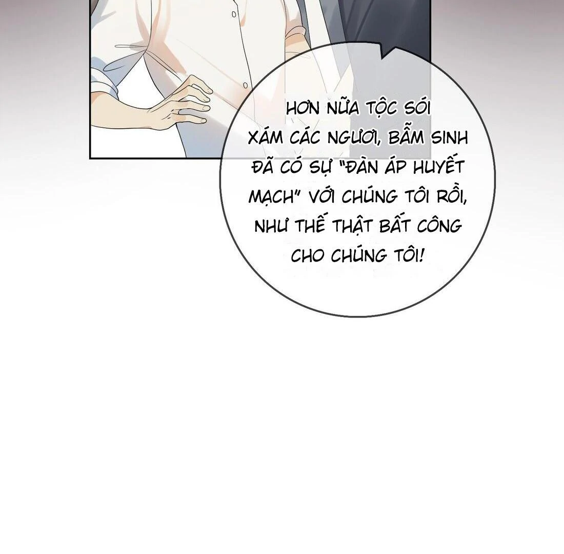 Sói Tiểu Thư Và Em Gái Hồ Ly Của Tôi Chapter 5 - Trang 2