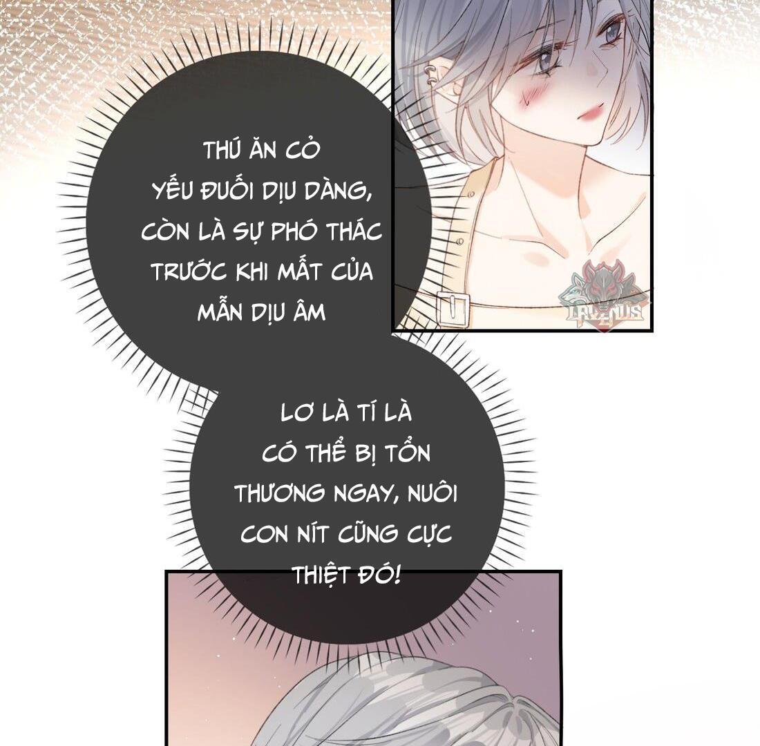 Sói Tiểu Thư Và Em Gái Hồ Ly Của Tôi Chapter 6 - Trang 2