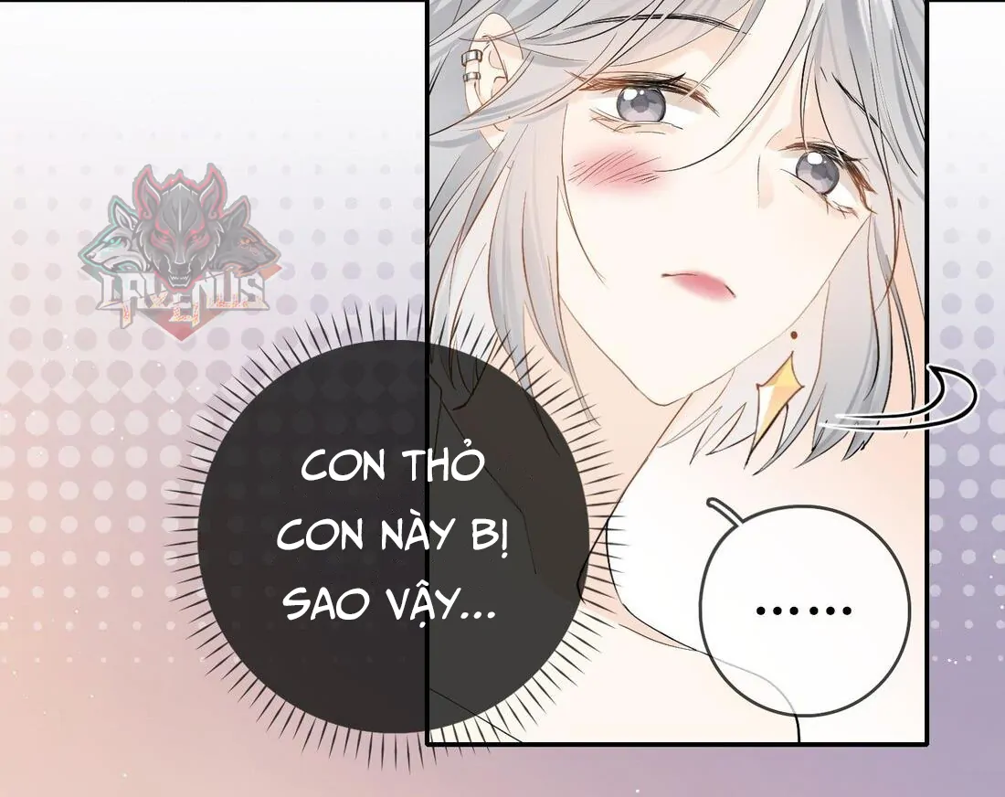 Sói Tiểu Thư Và Em Gái Hồ Ly Của Tôi Chapter 6 - Trang 2