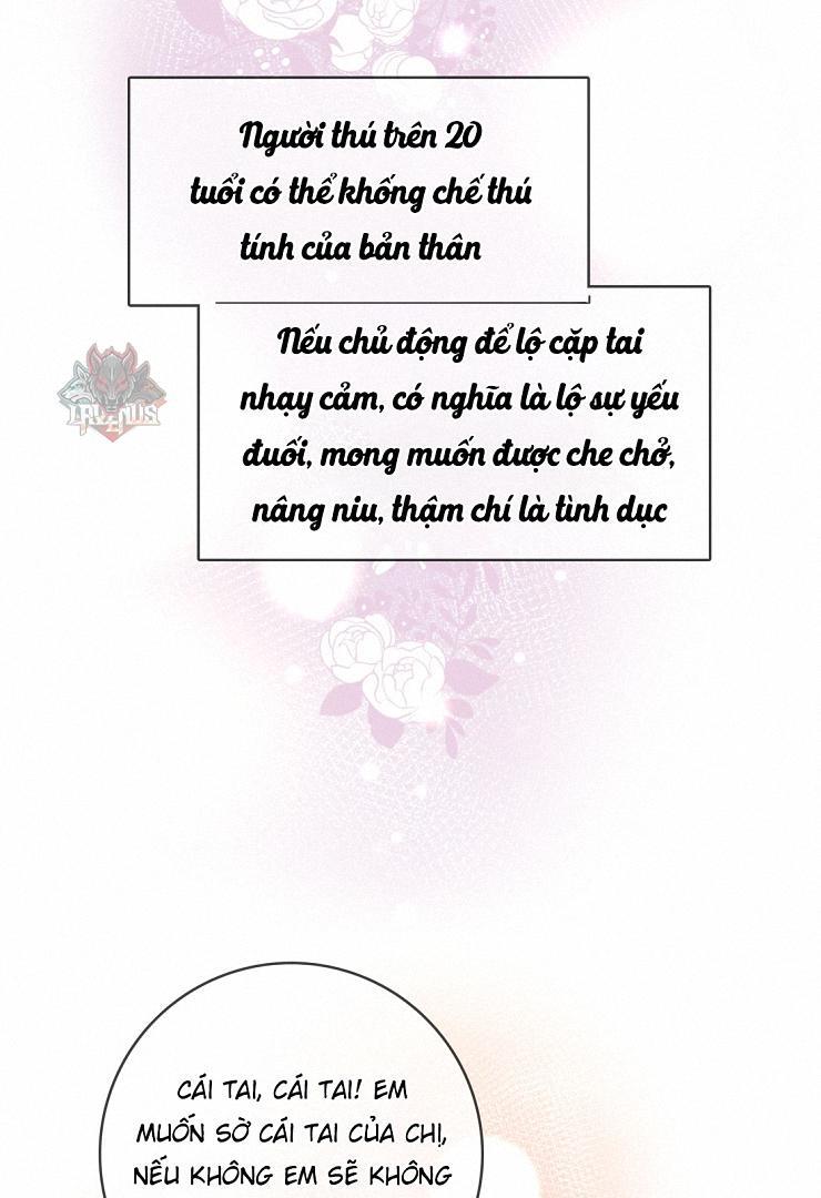 Sói Tiểu Thư Và Em Gái Hồ Ly Của Tôi Chapter 8 - Trang 2
