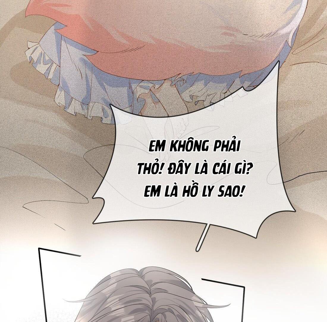Sói Tiểu Thư Và Em Gái Hồ Ly Của Tôi Chapter 9 - Trang 2