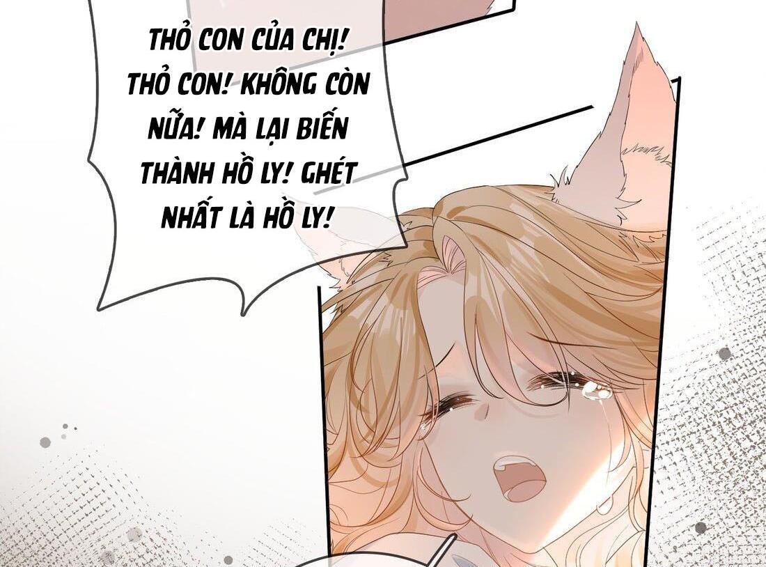 Sói Tiểu Thư Và Em Gái Hồ Ly Của Tôi Chapter 9 - Trang 2