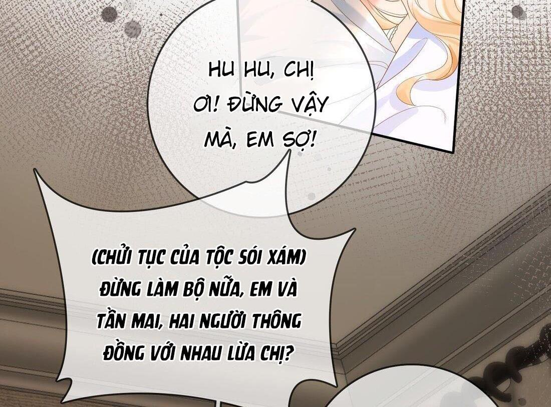 Sói Tiểu Thư Và Em Gái Hồ Ly Của Tôi Chapter 9 - Trang 2