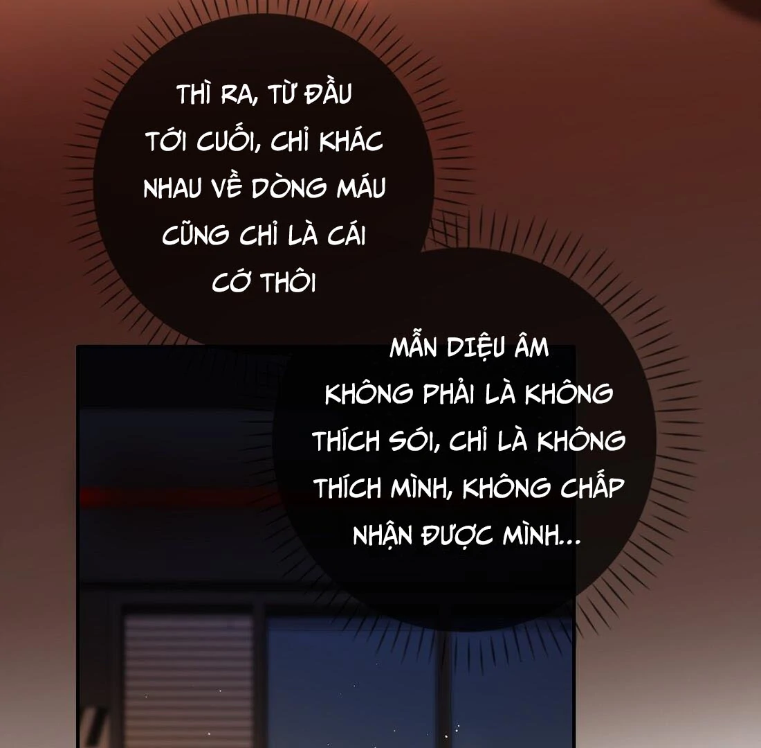 Sói Tiểu Thư Và Em Gái Hồ Ly Của Tôi Chapter 9 - Trang 2