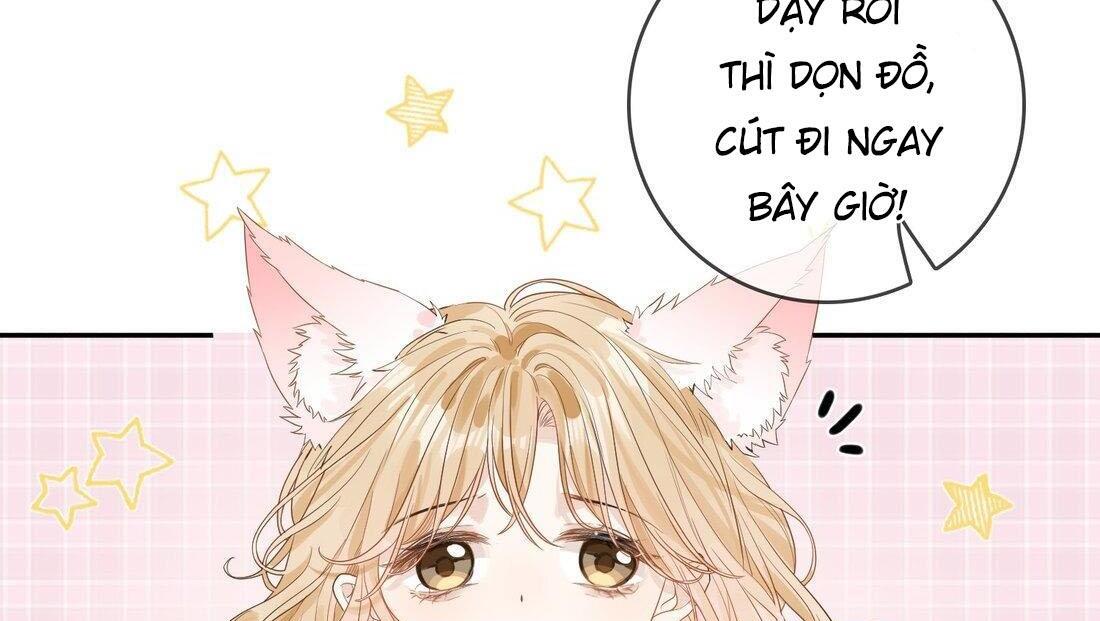 Sói Tiểu Thư Và Em Gái Hồ Ly Của Tôi Chapter 9 - Trang 2