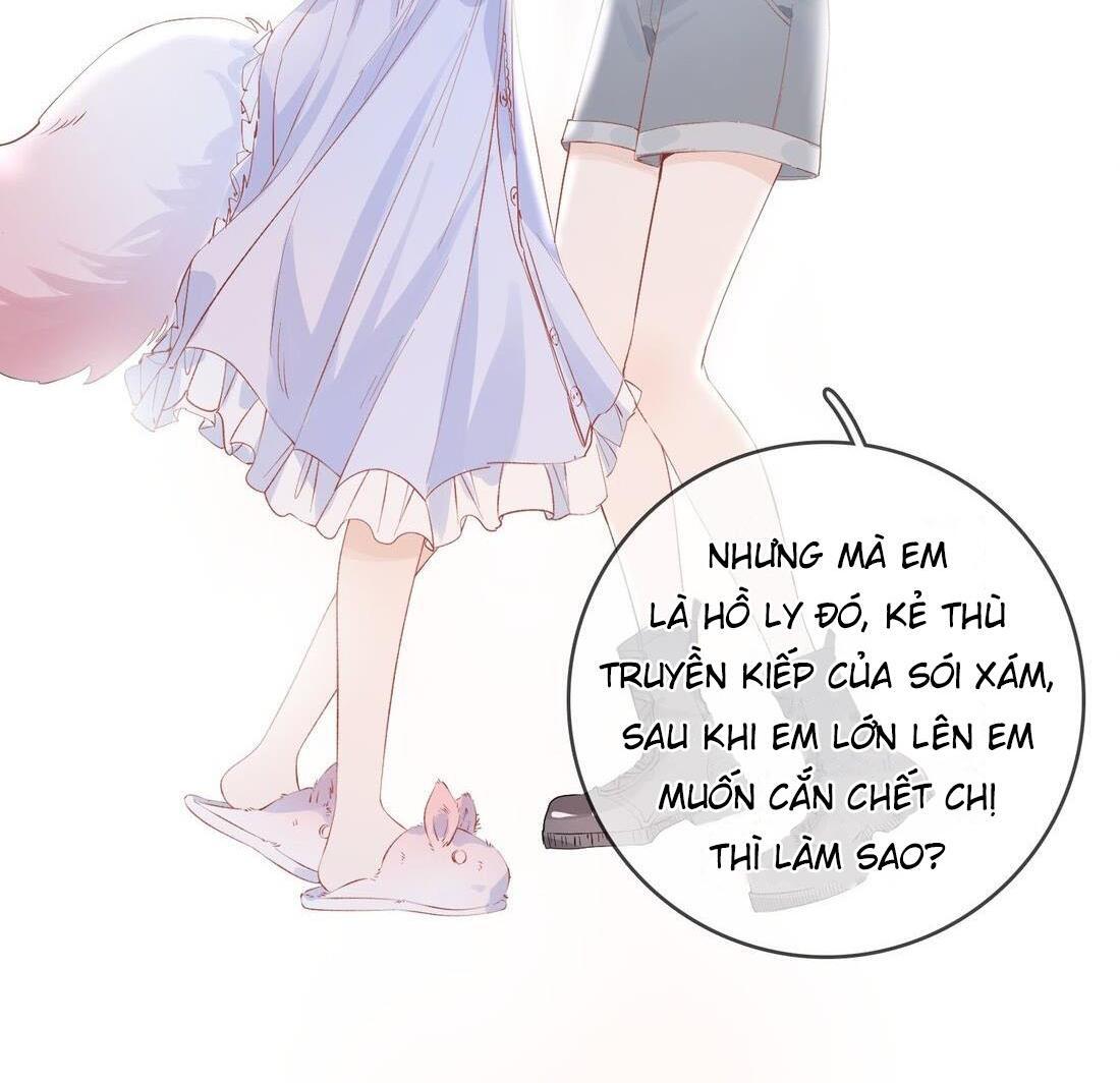 Sói Tiểu Thư Và Em Gái Hồ Ly Của Tôi Chapter 9 - Trang 2