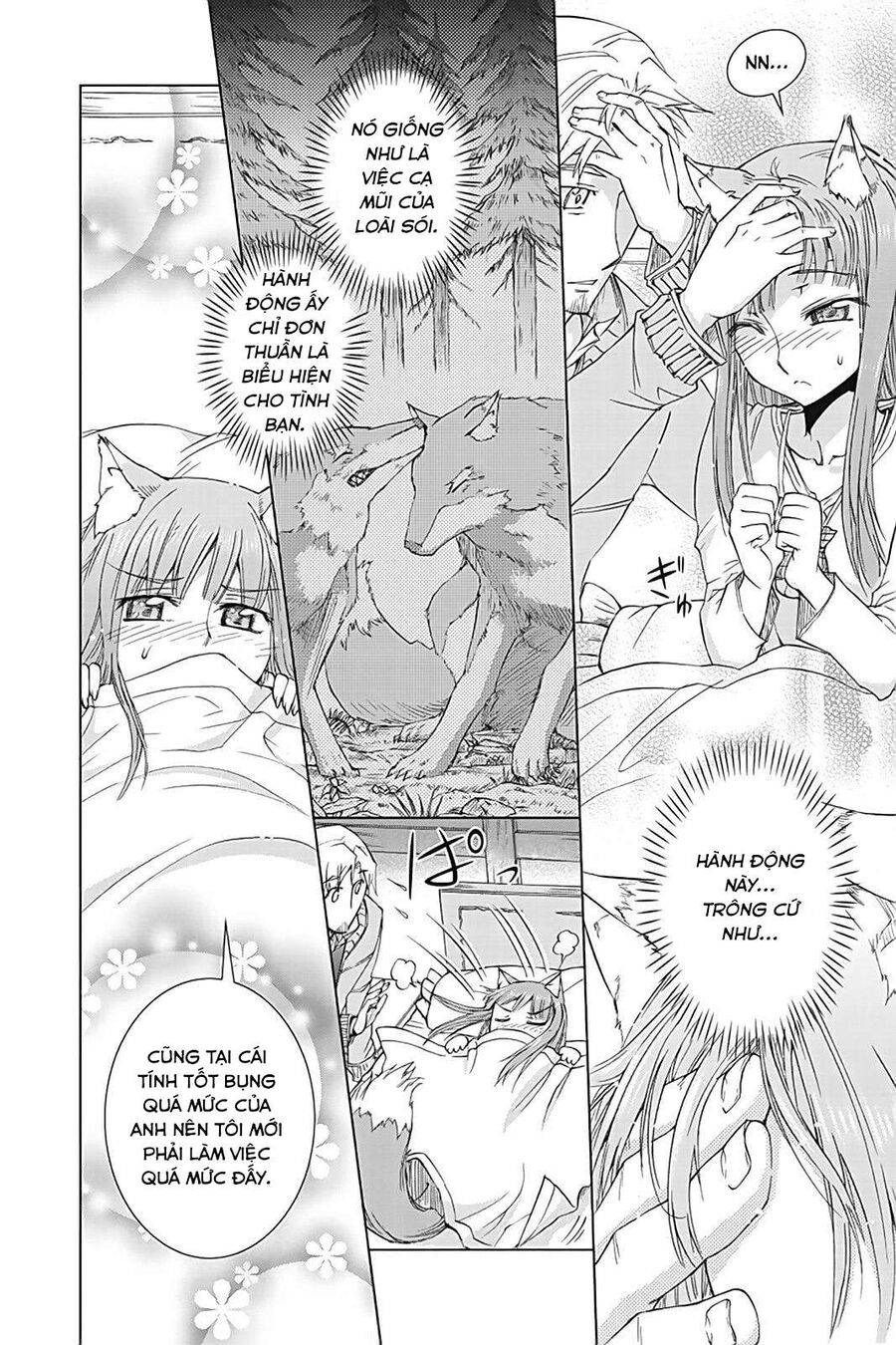 Sói Và Gia Vị Chapter 35.5 - Trang 2