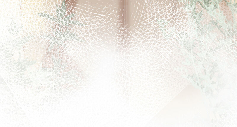 Solo Đi Vương Gia Chapter 102 - Trang 2