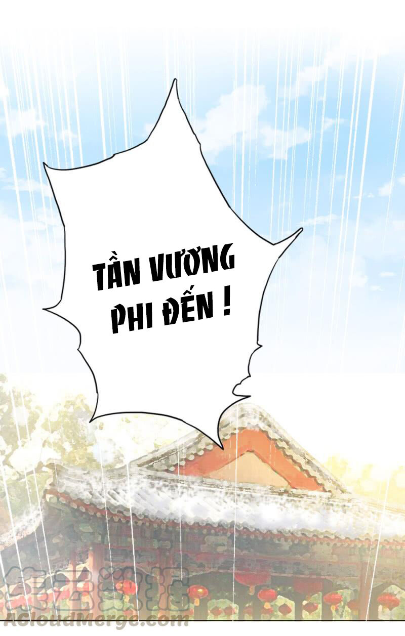 Solo Đi Vương Gia Chapter 107 - Trang 2