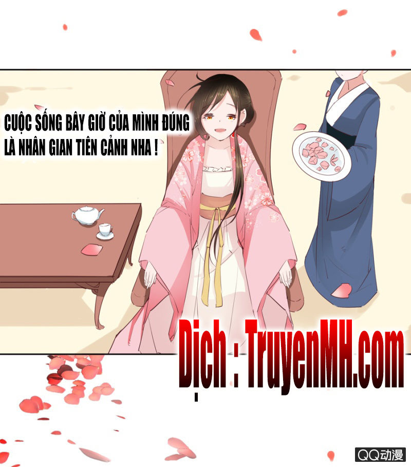 Solo Đi Vương Gia Chapter 11 - Trang 2