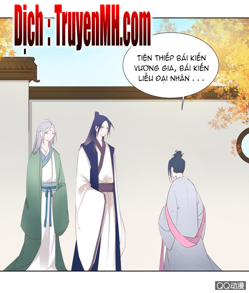 Solo Đi Vương Gia Chapter 2 - Trang 2