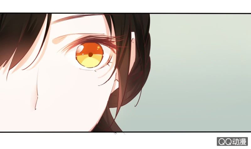 Solo Đi Vương Gia Chapter 2 - Trang 2