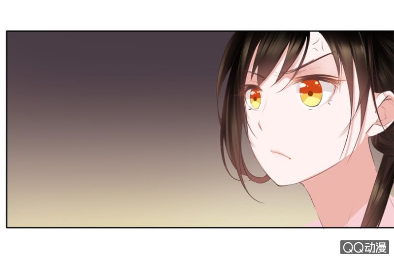 Solo Đi Vương Gia Chapter 3 - Trang 2