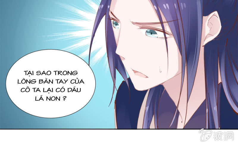 Solo Đi Vương Gia Chapter 31 - Trang 2