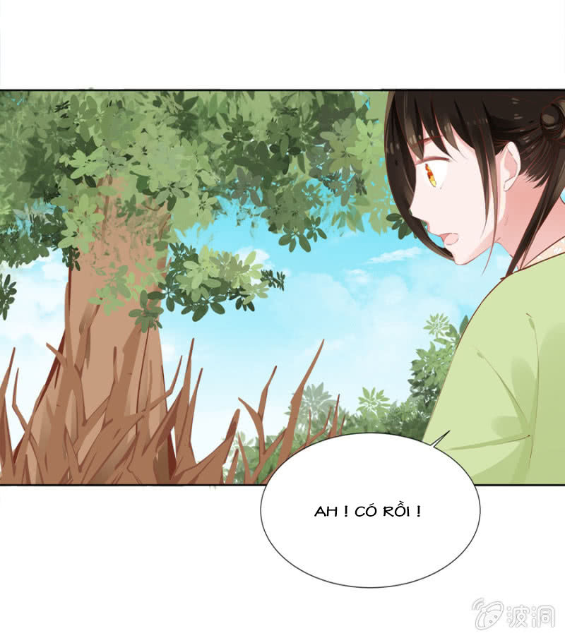 Solo Đi Vương Gia Chapter 32 - Trang 2