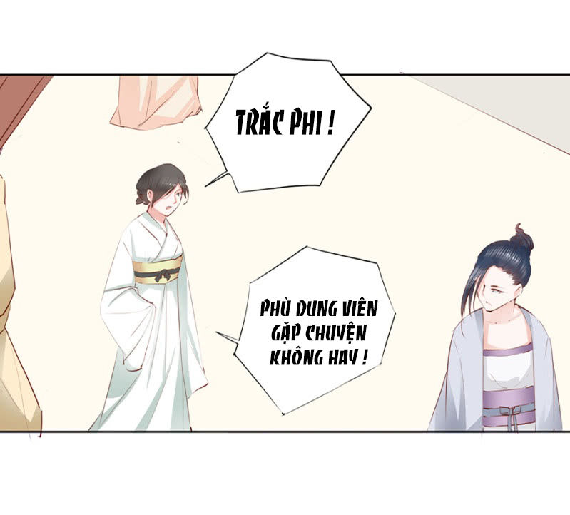 Solo Đi Vương Gia Chapter 8 - Trang 2