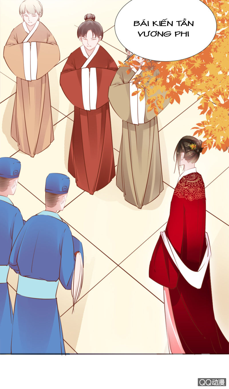 Solo Đi Vương Gia Chapter 81 - Trang 2