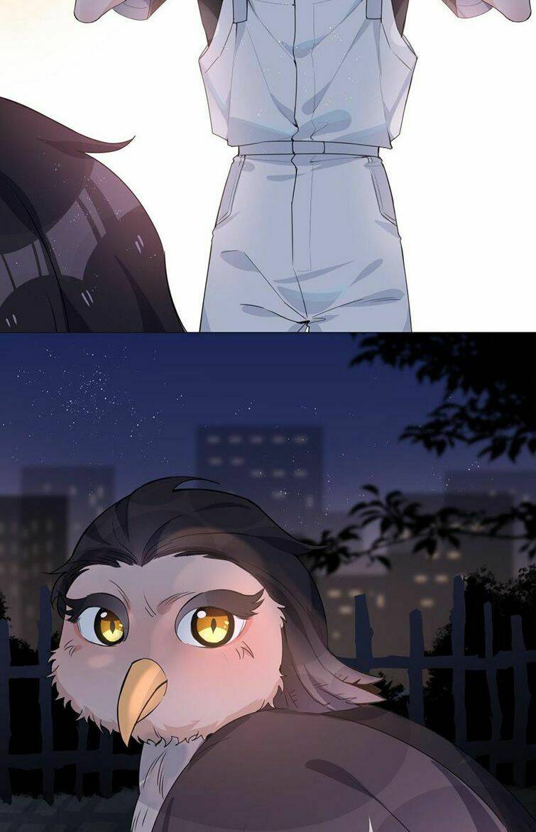 Sơn Hải Cao Trung Chapter 24 - Trang 2